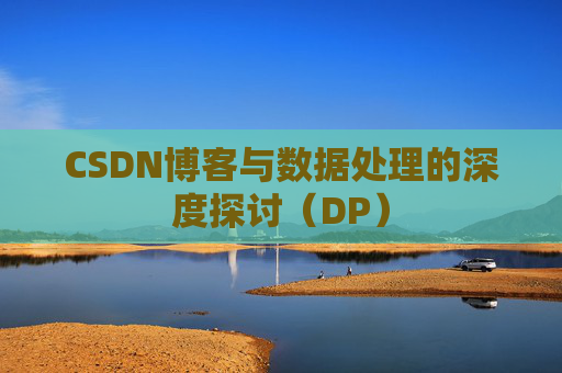 CSDN博客与数据处理的深度探讨（DP）